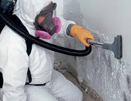 Best Mold Documentation for Insurance Claims  in Ferndale, CA